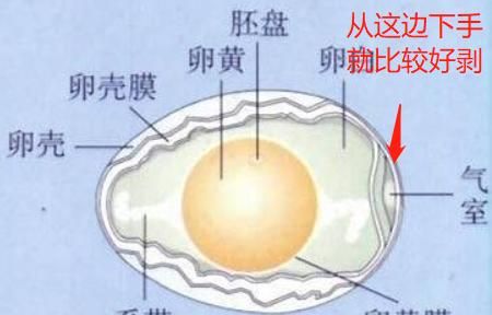 水蛋的正确做法是什么
，高压锅压鸡蛋的正确方法？图8