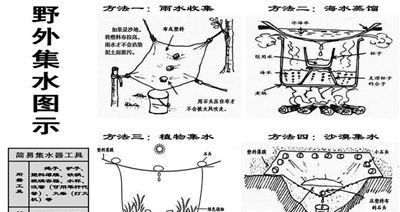 如何寻找水源，寻找水及水的鉴别方法
，如何在野外找水源？图1