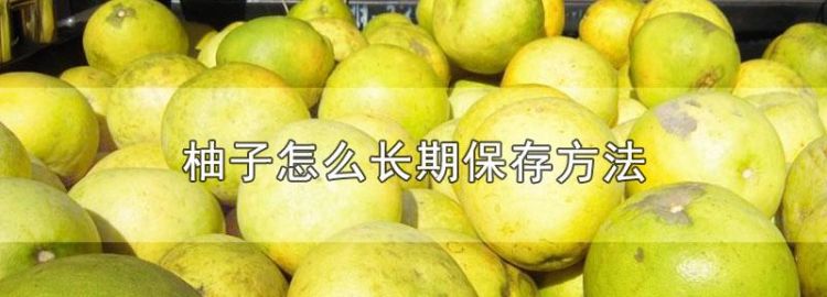 柚子能存放多久
，柚子在常温下能保存多久？图1