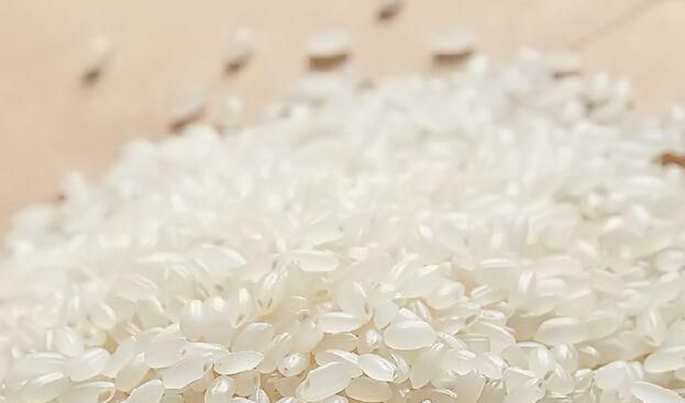 长米粒是什么米
，米粒是从什么植物上来的图2