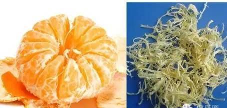 橘子白色的丝叫什么名字
，橘子罐头里有白色的丝是怎么回？图2