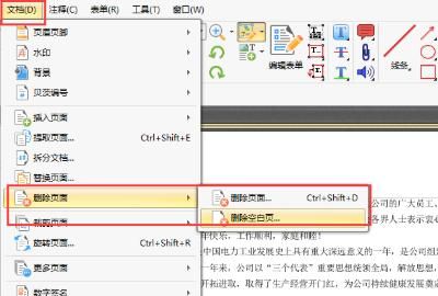 word转pdf出现空白页 解决方案
，word转pdf出现空白页如何解决？图6