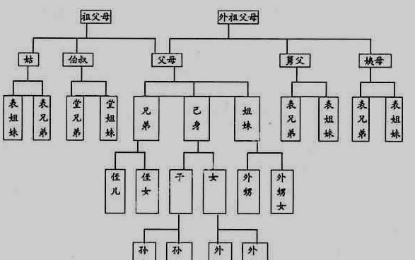 伯父和侄女是什么亲属关系
，伯伯和自己是什么关系？图1