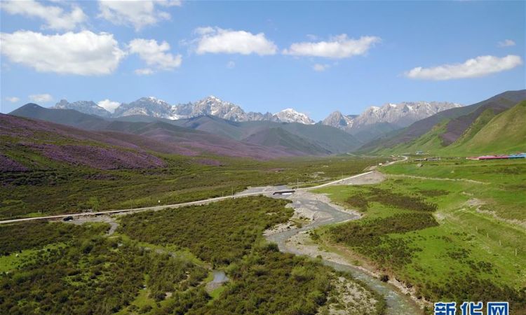 祁连山重点保护对象是什么
，武夷山长白山祁连山在哪里面积多少重点保护对象是什么？图2