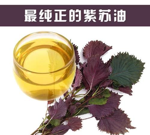 紫苏油可以高温炒菜吗
，紫苏油可以炒菜吗？图1