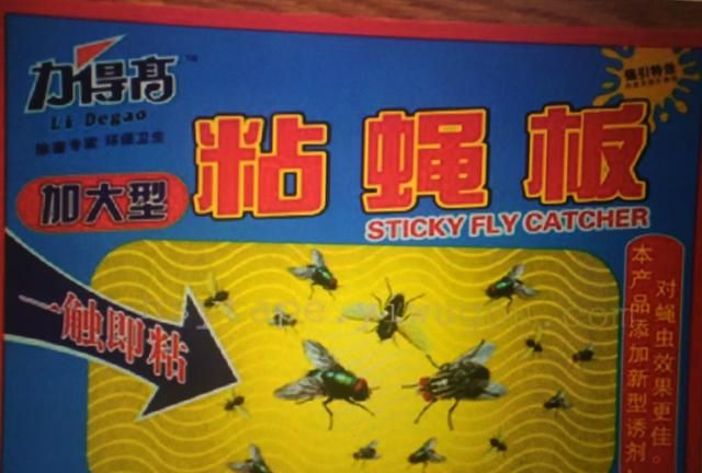 夏天防蚊子的好方法
，农村家里夏天有不少苍蝇，总不能灭净，请问如何才能有效灭蝇呢？图3