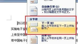 Word2007页码设置的小技巧
，word2007怎么把页脚设置为第页共页的形式？图3