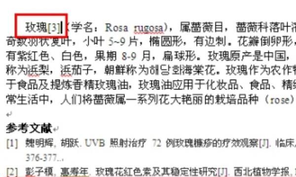 参考文献自动生成方法 如何自动生成参考文献
，word如何自动生成参考文献？图19