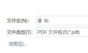 如何将word文件转换成pdf
，如何将Word转换成PDF？图10