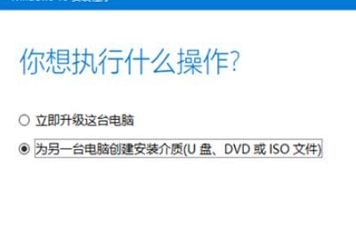 Windows 8.1 正式版微软官方原版镜像下载
，如何在微软官网下载Windows7\8.1\10镜像文件？图8