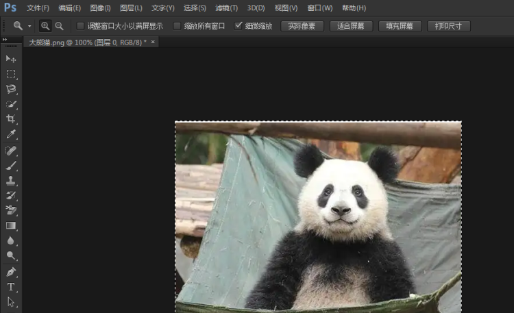 photoshop怎么旋转图片
，photoshop怎么让图片换个方向？图3