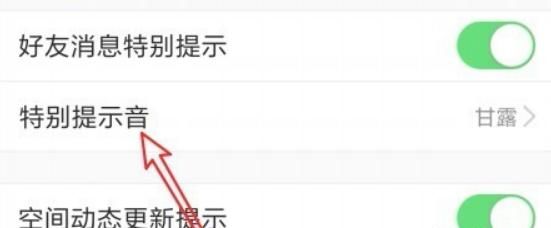 如何设置qq好友上线提醒？
，QQ如何设置只有特别关心有声音提示？图7