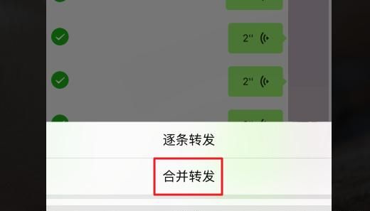 怎么把微信语音翻译成文字
，求教:怎么把微信群聊里视频，语音，文字图片等打包转发给别人？图4