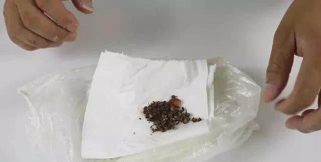 面粉生虫怎么办,还能吃吗?
，面粉里面生虫子了，怎么办可以把虫子清除？图5