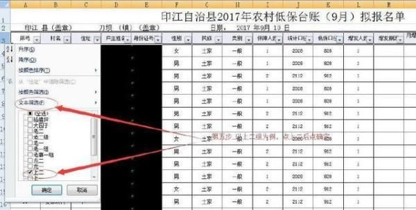 在Excel2010表格中如何筛选数据
，在Excel2010表格中如何筛选数据？图5