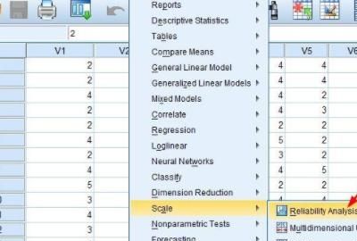 SPSS实例：计算信度（α系数）
，SPSS实例：[1]计算信度（α系数）？图2