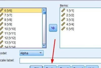 SPSS实例：计算信度（α系数）
，SPSS实例：[1]计算信度（α系数）？图5