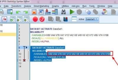 SPSS实例：计算信度（α系数）
，SPSS实例：[1]计算信度（α系数）？图6