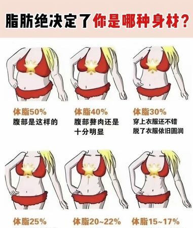 体脂率怎么测
，体脂率怎么测bmi？图2