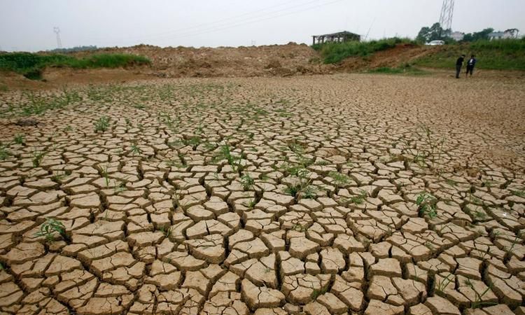 干旱发生在什么地区
，我国华北地区和长江中下游的干旱各发生在什么季节？图1