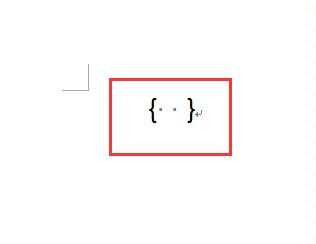 大括号怎么打出来？word大括号怎么输入
，word大括号怎么输入？图7