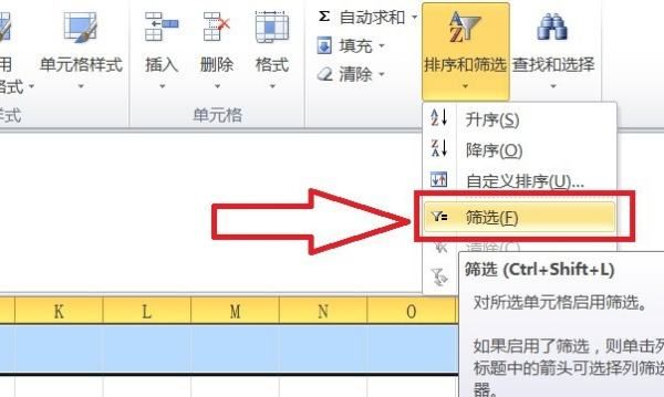 怎么使用excel表格的筛选功能？
，excel表格怎样快速的筛选大量数据？图6