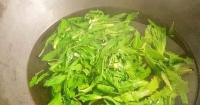 野菜青青菜的吃法
，玉谷野菜的家常做法？图2