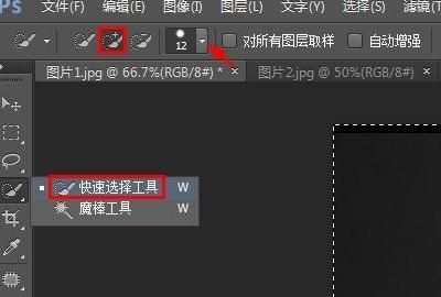 Photoshop秘籍之一键抠图
，ps通道抠图的五个步骤？图3