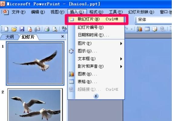 如何使用Microsoft Power Point 制流程图
，power point 2007格式刷怎么用？图2