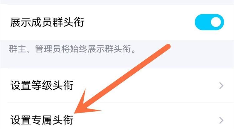 qq群里的专属头衔怎么弄？
，QQ群专属头衔怎么设置？图4