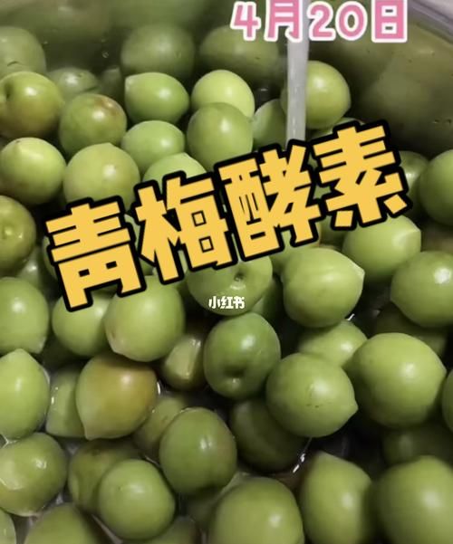 自制青梅酵素可以存放多久
，青梅酵素上面发霉了能食用吗？图1