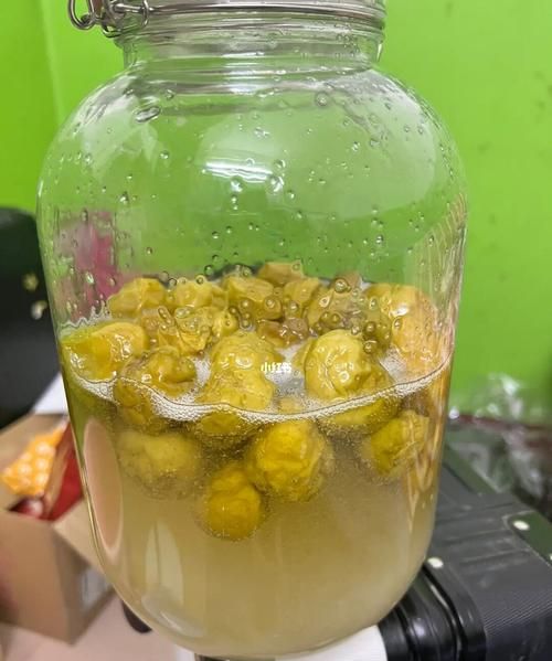 自制青梅酵素可以存放多久
，青梅酵素上面发霉了能食用吗？图2