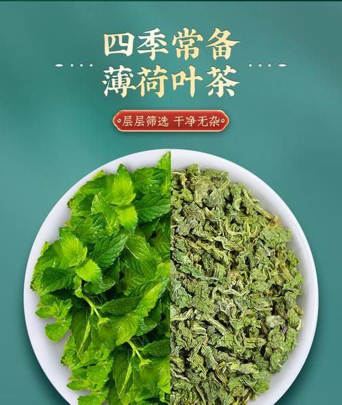 薄荷如何做成干茶叶
，怎样将薄荷做成干茶叶？图1