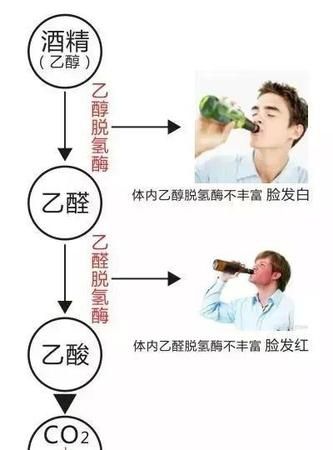 乙醛有毒吗
，四聚乙醛对蚯蚓有害吗？图1