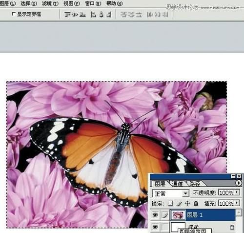 使用ps给相片制作邮票齿特效的方法
，如何用Photoshop将图片做成邮票效果？图1