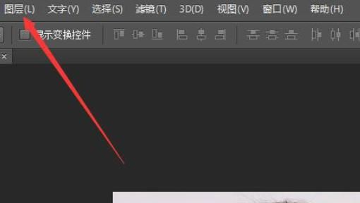 ps盖印图层怎么做
，Photoshop盖印图层是怎么回事,快捷键是什么？图5