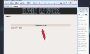 Kali Linux的安装
，如何将Kali Linux安装到移动硬盘和U盘？图4