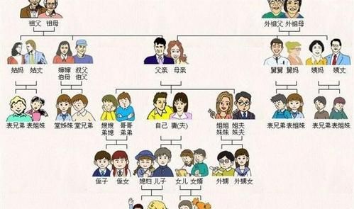 伯父是什么亲属关系
，妻子的伯父是什么系什么亲？图2