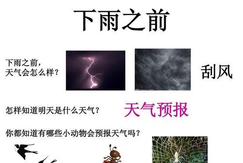 哪些小动物能预知下雨啊
，哪些动物能预报下雨？图1