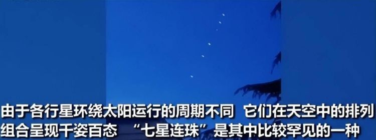 欲钱看东方鱼肚白指什么生肖
，海鹅肚是什么动物？图2