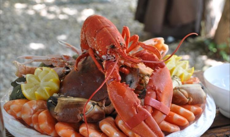 美食海鲜
，有哪些美食海鲜节目？图1