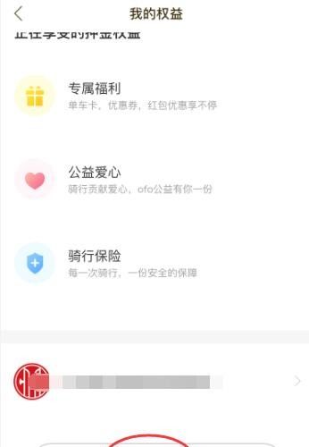 ofo怎么退款？
，ofo怎么查看退押金进度？图5