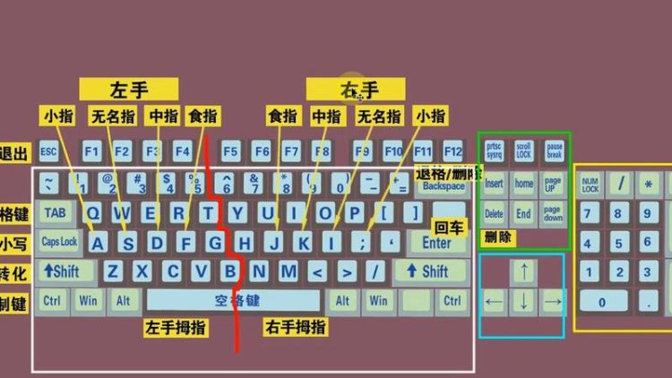 键盘打字正确的方式
，键盘打字(大拇指打的方法)？图2