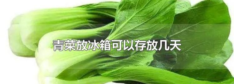 青菜放冰箱一周还能吃吗
，裙带菜冰箱放一周还能吃吗？图2