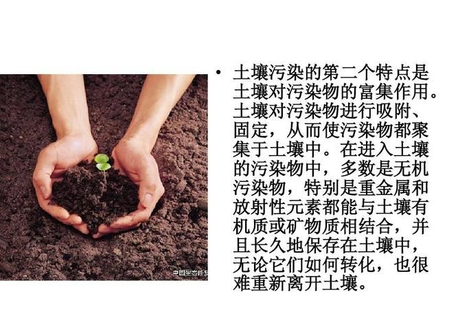 属于土壤污染源种类的是
，不属于土壤污染的途径是？图2