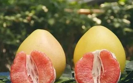 红柚子吃着苦是怎么回事
，柚子汁水多还特别苦是怎么回事？