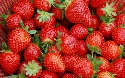 草莓怎么保存才新鲜
，切好的草莓怎么保存才不会变色？