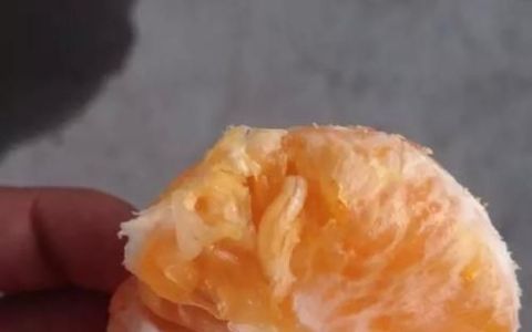 橘子里面有虫子是什么原因
，丑橘里面为什么会有虫子？