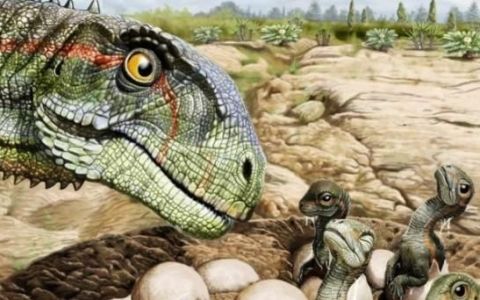 恐龙生活的环境
，恐龙生活的年代和适宜的温度？
