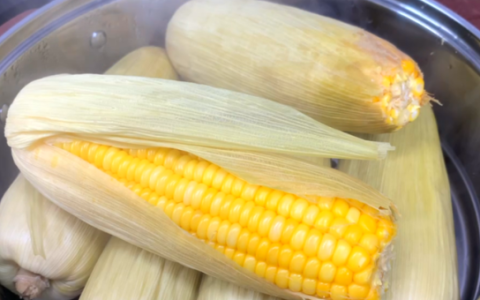 怎样判断玉米是否被蒸熟
，为什么玉米蒸不熟？